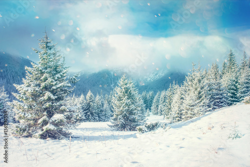 Foto Winter landscape glowing by sunlight. Dramatic wintry scene.