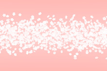 Spring White Flower On Pink Background