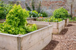 Rustic Raised Bed Vegetable & Flower Garden