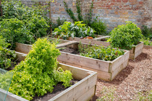 Rustic Raised Bed Vegetable & Flower Garden