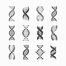 DNA Icons Set 