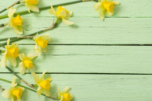 Yellow Flowers On Green Wooden Background