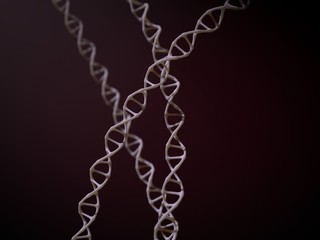 simple dna spirals. 3d illustration.