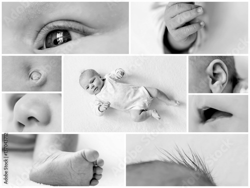 Collage Of Black And White Baby S Photos With Parts Of Body Of Cute Newborn Child Buy This Stock Photo And Explore Similar Images At Adobe Stock Adobe Stock