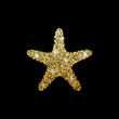 Logo of the sea star. Silhouette of a marine animal of the glittery powder on a black background. Gold star.