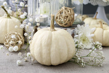 Floral Decoration With White Pumpkins