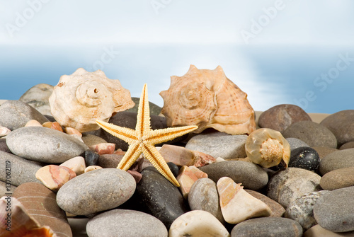 Naklejka na drzwi image of seashell in the sand against the sea,