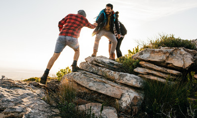Wall Mural - group of hikers walking in the nature at sunset