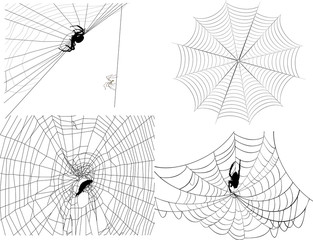 Wall Mural - four isolated black spider webs