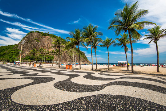 famous mosaic of sidewalk and palm trees in leme and copacabana beach in rio de janeiro, brazil