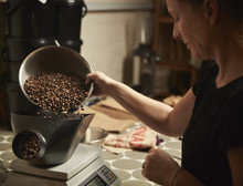 A Coffee Shop. A Person Pouring Roasted Coffee Beans Into A Coffee Grinder.