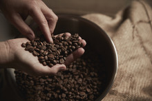 Person Holding Handful Of Fresh Roasted Coffee Beans