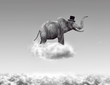 Elephant flying in the clouds