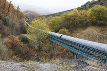 A Railroad In Autumn Forest