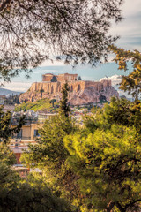 Wall Mural - Parthenon temple with spring trees on the Acropolis in Athens, Greece