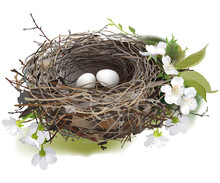 Bird's Nest.
Hand Drawn Vector Illustration Of A Nest With Two White Eggs, Surrounded By Spring Flowers And Green Shoots, On White Background.
