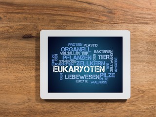 Poster - Eukaryoten