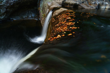 Poster - Tellico River