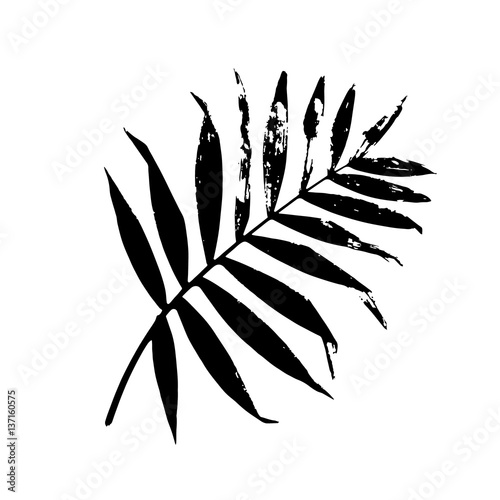 Palm Leaf Vector Illustration Black And White Palm Leaf Silhouette Isolated Palm Leaf Buy This Stock Vector And Explore Similar Vectors At Adobe Stock Adobe Stock