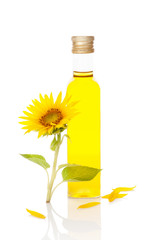 Wall Mural - Sunflower oil.