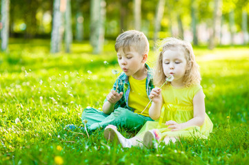 Little girl and boy blowing dandelion together