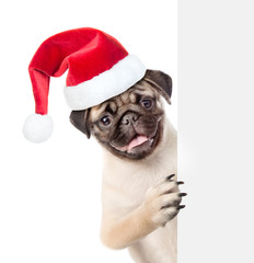 Leinwandbilder - Pug puppy in red christmas hat peeking from behind empty board. isolated on white background