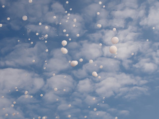 bubbles on sky background