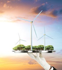 Poster - Nature conservation concept