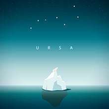 Polar Bear Sits On The Iceberg And Looks At The Constellation URSA Major