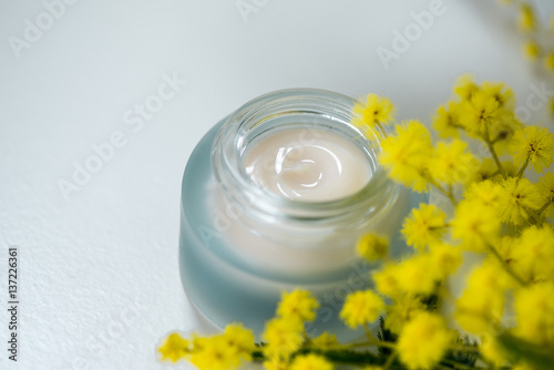 Fotografie, Obraz Face cream and mimosa flower, white background