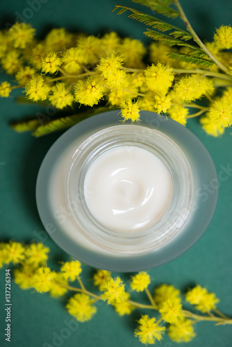 Fotografie, Obraz Face cream and mimosa flower, green background