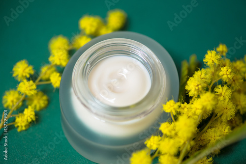 Fotografie, Obraz Face cream and mimosa flower, green background