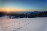 Fototapeta Na ścianę - Winter panorama