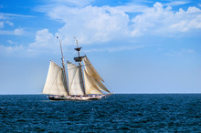Historic Tall Ships At Dana Point Harbor California	
