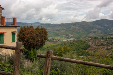 HEART SHAPED TREE AND VIEW OF TUSCANY HILLS, ITALY