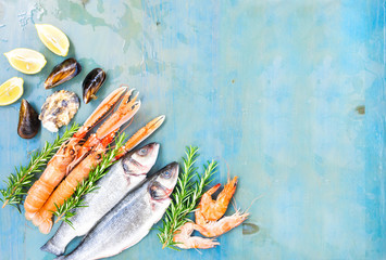 Fresh seafood and raw fish flat lay scene on blue background with copy space