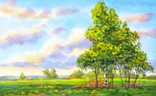 Watercolor Landscape. The Trees In The Evening Field