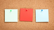 © ffphoto - Colorful blank sticky notes on corkboard