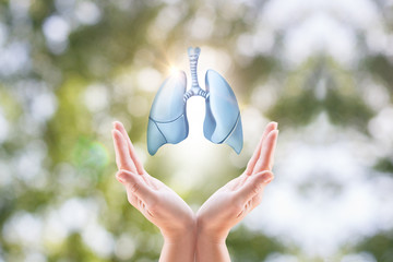 Hands holding human lungs on blurred background.