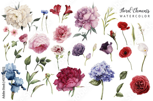 Flowers and leaves, watercolor, can be used as greeting card, invitation card...