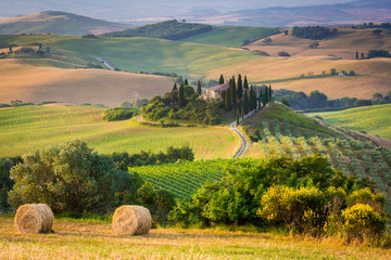 Wall Mural - The Tuscan Landscape