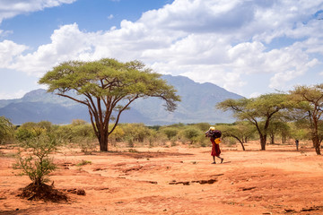 woman walking through savanna, kenya
