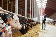 © Syda Productions - herd of cows eating hay in cowshed on dairy farm