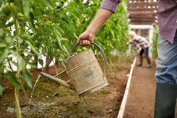 Canvas Print - senior man with watering can at farm greenhouse