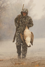 Goose Hunter In Rain Carrying Dead Goose