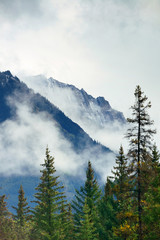 Sticker - Banff National Park