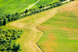 Fototapeta Na ścianę - Summer landscape with wheat field