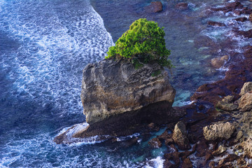 Lonely tree on stone in blue ocean landscape