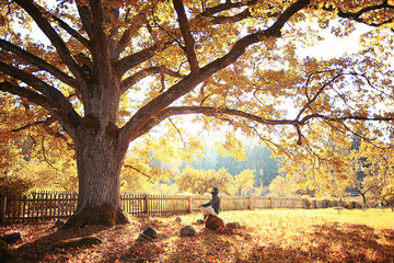 autumn landscape in the city park