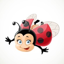 Cute Cartoon Ladybug Fly On A White Background
